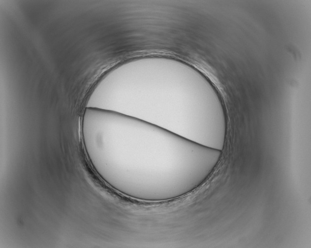 X0000111680013200907311229