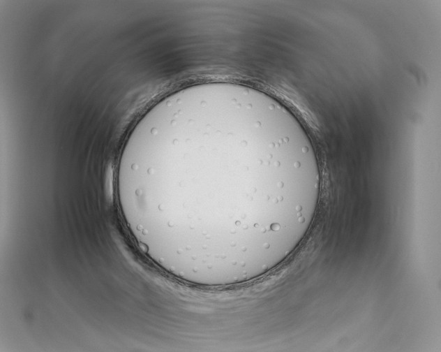 X0000111680014200907311229