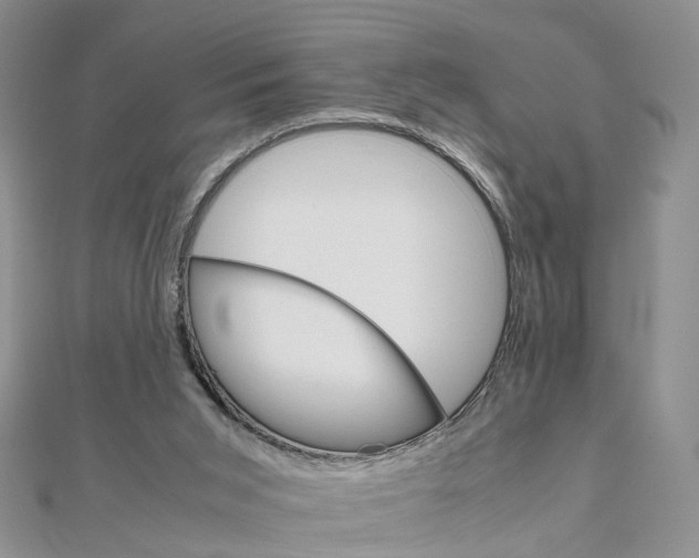 X0000111680015200907311229