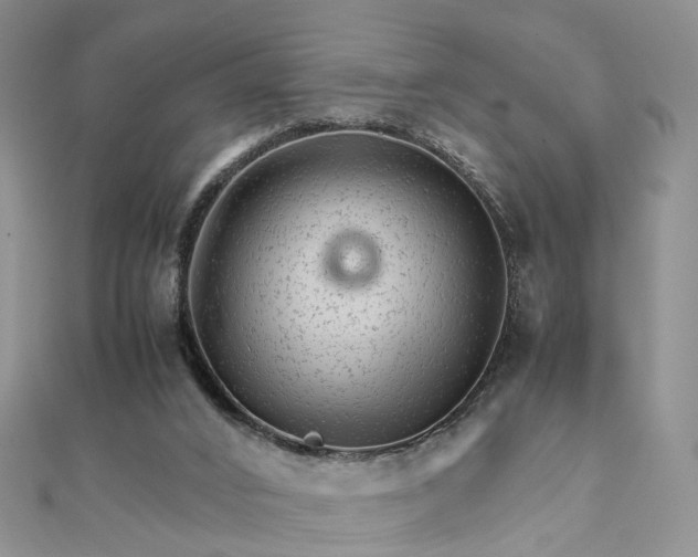 X0000111680016200907311229