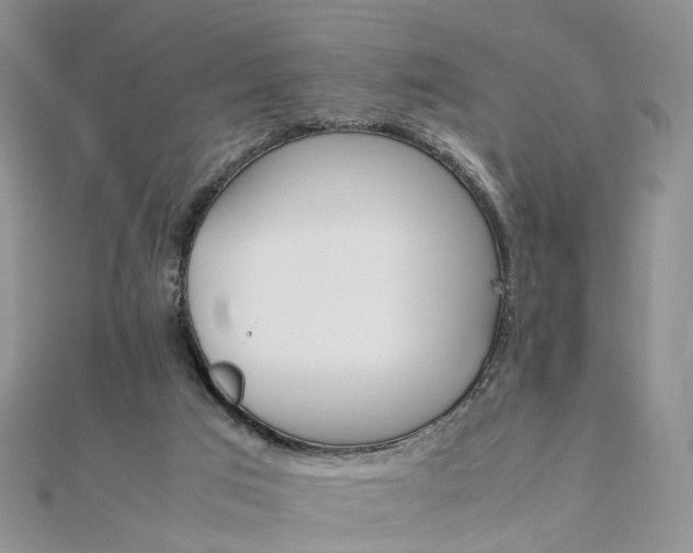 X0000111680017200907311229