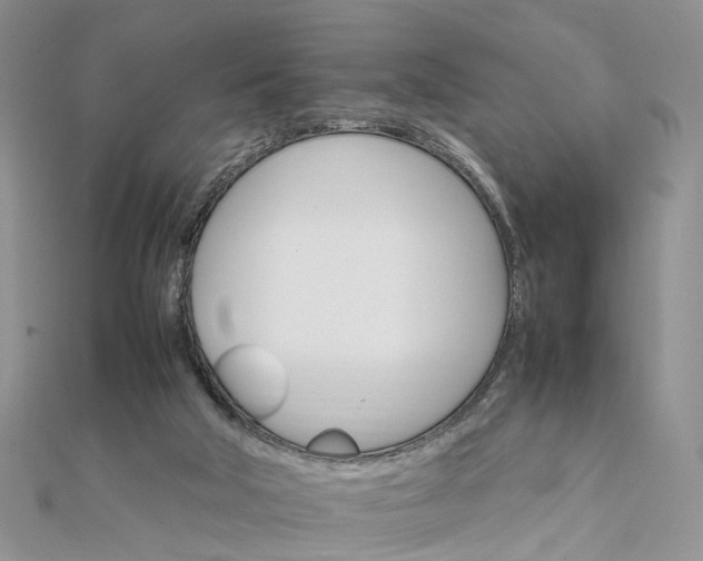 X0000111680018200907311229