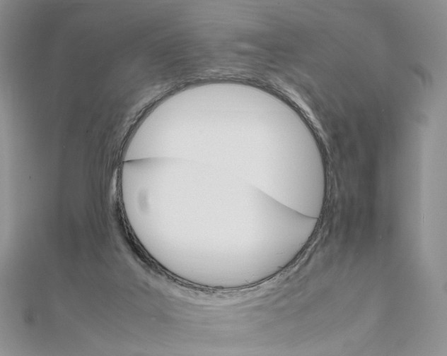 X0000111680019200907311229