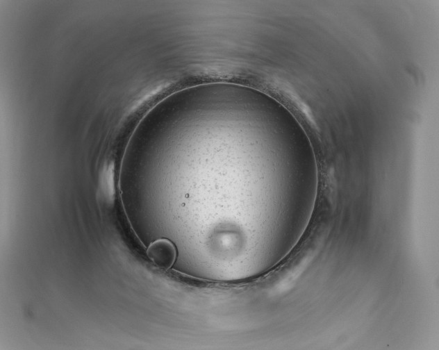 X0000111680020200907311229