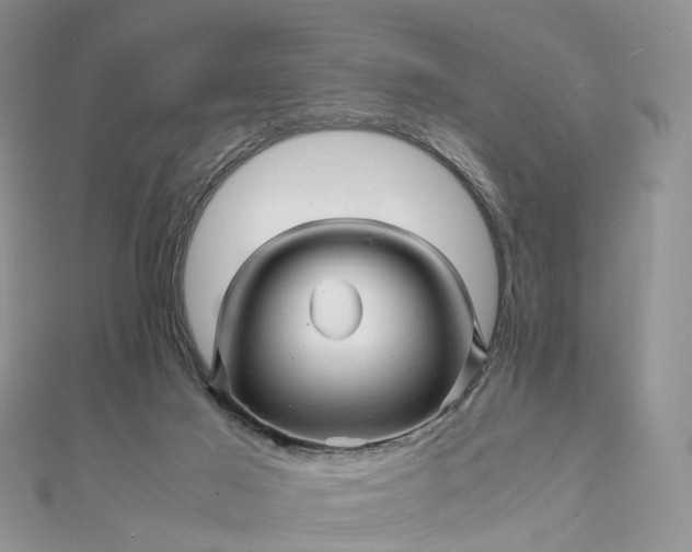 X0000111680021200907311229