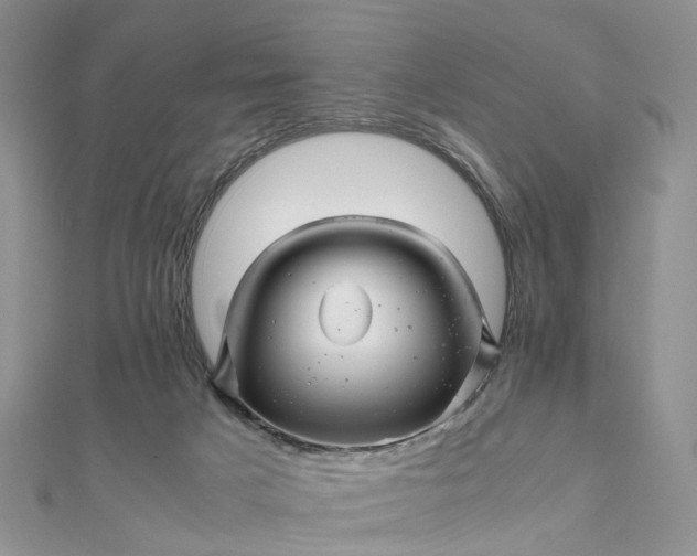 X0000111680025200907311229