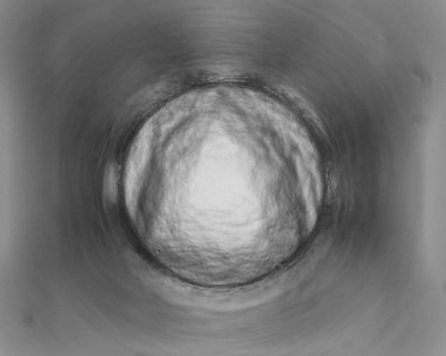 X0000111680026200907311229