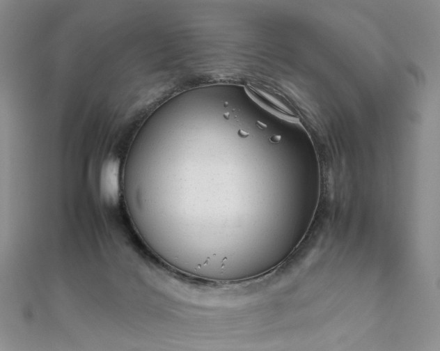 X0000111680028200907311229