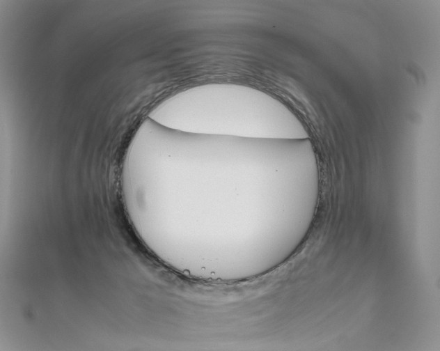 X0000111680029200907311229