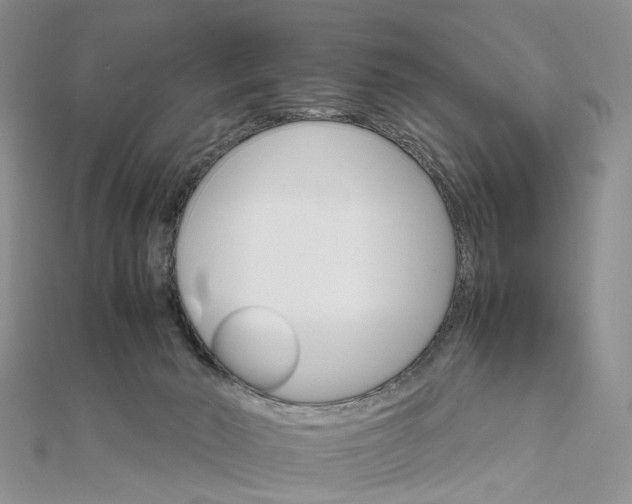 X0000111680030200907311229