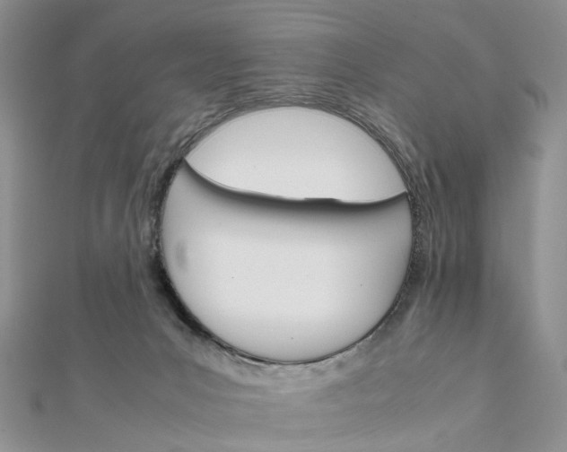 X0000111680031200907311229