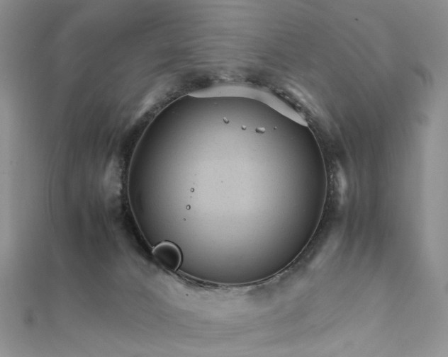 X0000111680032200907311229