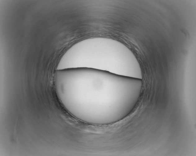 X0000111680033200907311229