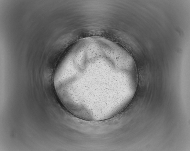 X0000111680034200907311229