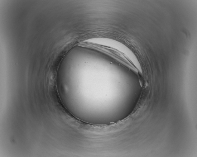 X0000111680037200907311229