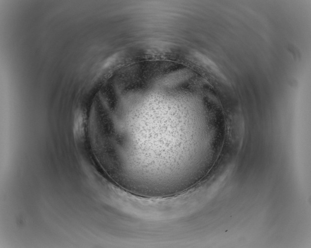 X0000111680038200907311229