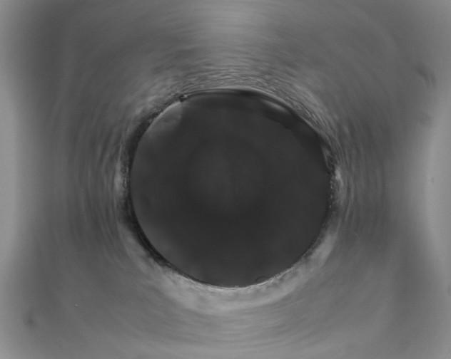 X0000111680039200907311229