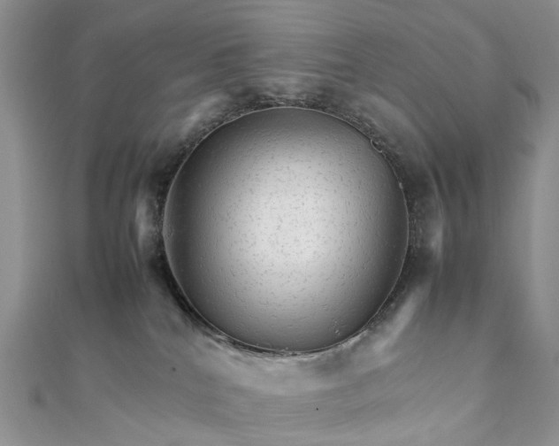 X0000111680040200907311229