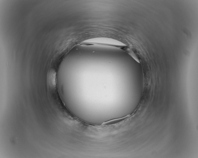 X0000111680041200907311229