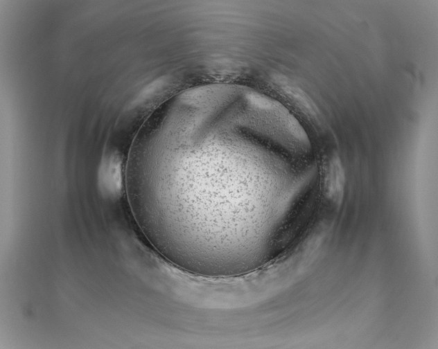 X0000111680042200907311229