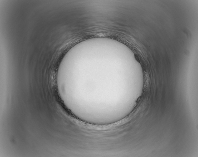 X0000111680043200907311229