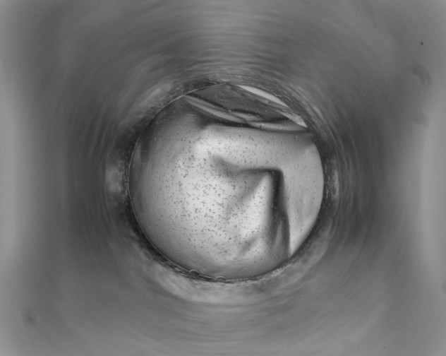 X0000111680044200907311229