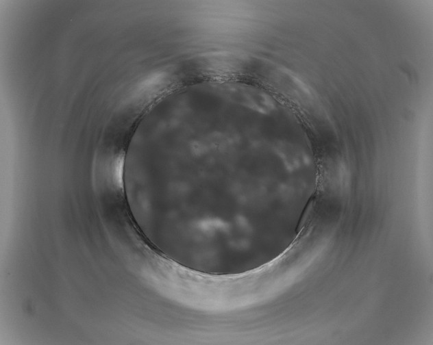 X0000111680047200907311229