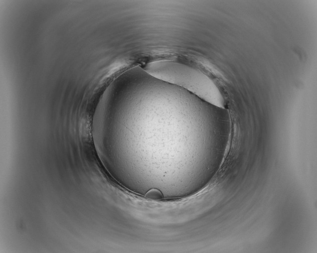 X0000111680048200907311229