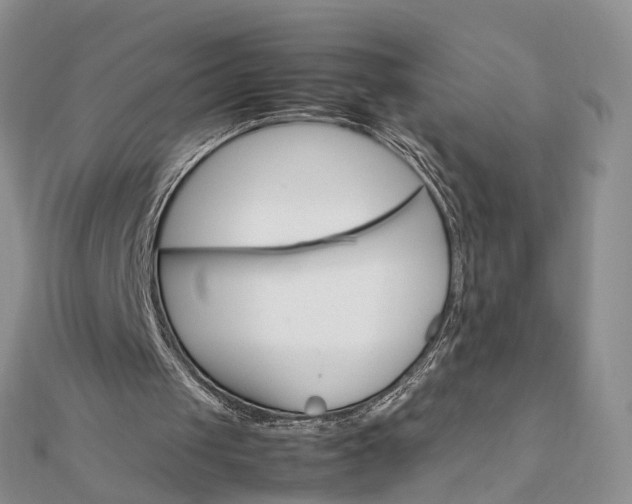 X0000111680049200907311228