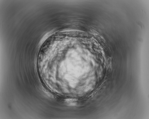 X0000111680051200907311228