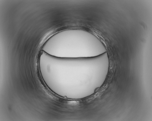 X0000111680053200907311228