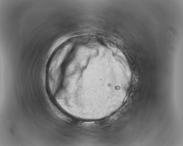 X0000111680054200907311228