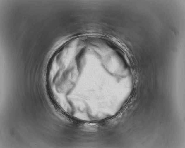 X0000111680055200907311228