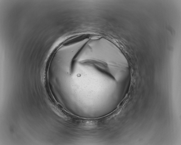 X0000111680056200907311228