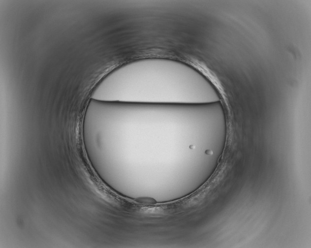 X0000111680057200907311228