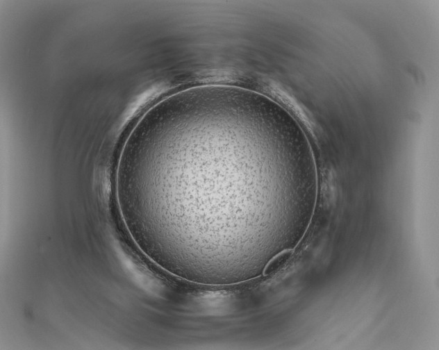 X0000111680059200907311228