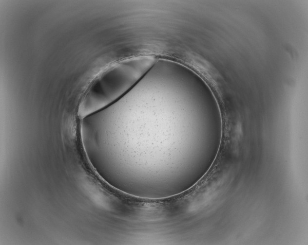 X0000111680060200907311228