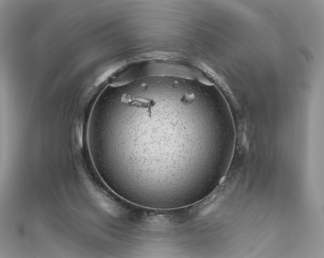 X0000111680062200907311228