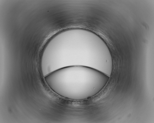 X0000111680064200907311228