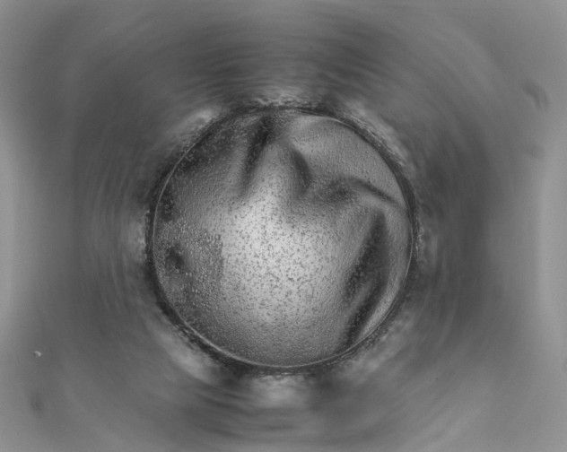 X0000111680065200907311228