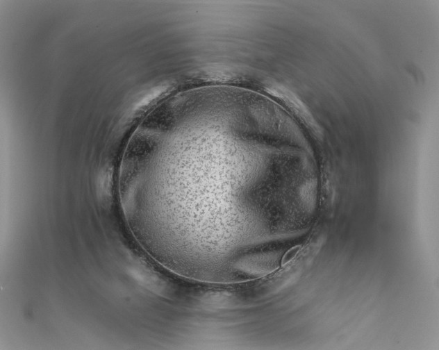 X0000111680066200907311228