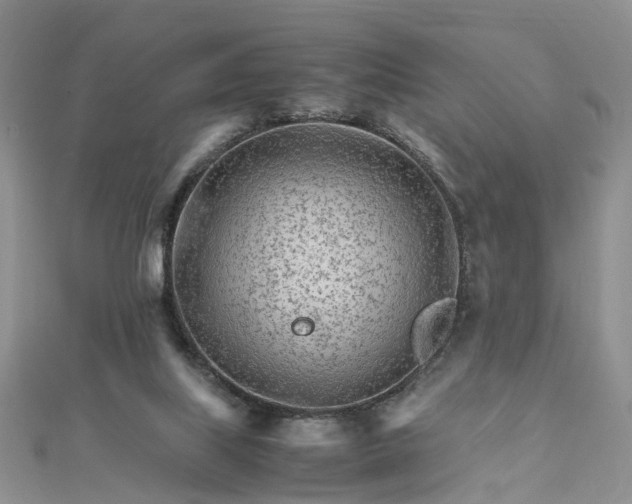 X0000111680067200907311228