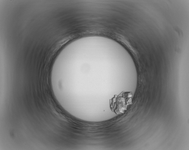 X0000111680068200907311228