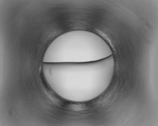 X0000111680069200907311228