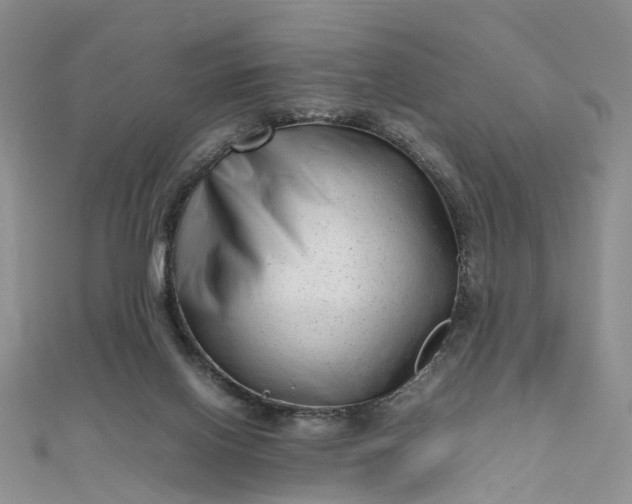 X0000111680070200907311228