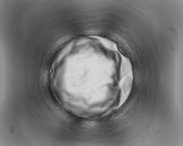 X0000111680071200907311228