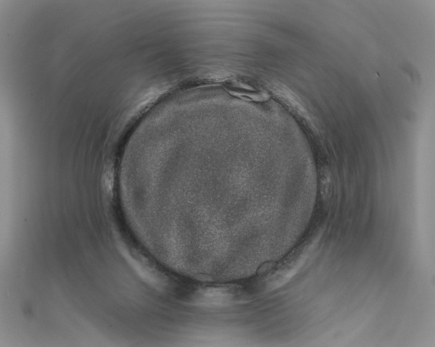 X0000111680072200907311228