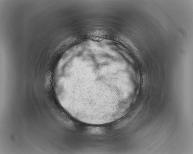 X0000111680073200907311228