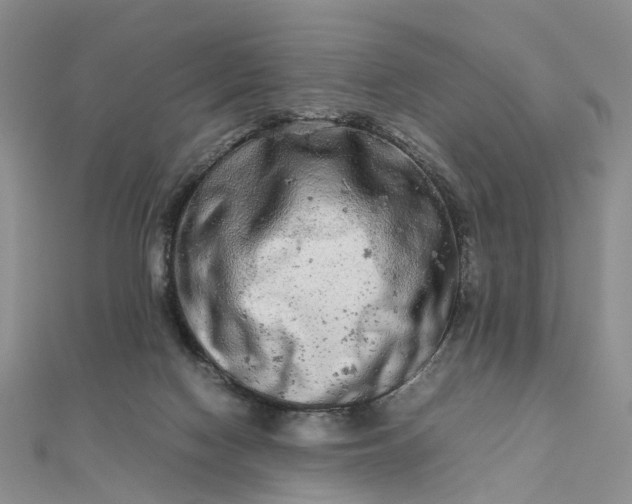 X0000111680074200907311228