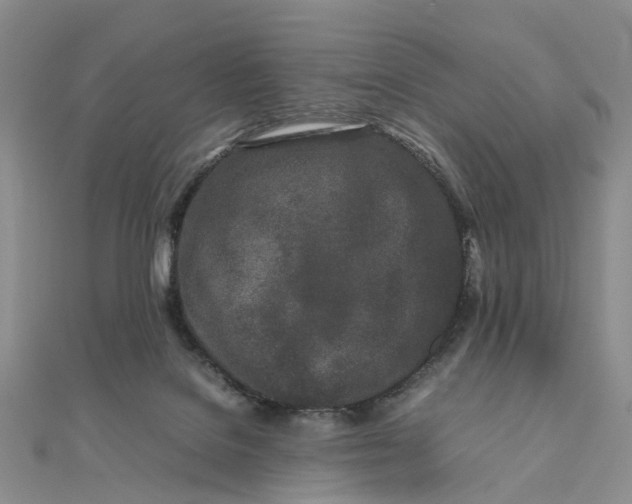 X0000111680076200907311228